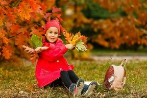 förtjusande liten flicka med höst löv i de skönhet parkera foto