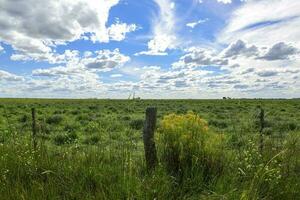 vår säsong landskap, la pampa foto