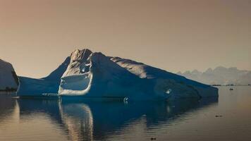 flytande isberg i paradis bukt, antartica. foto