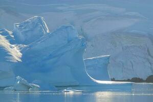 flytande isberg i paradis bukt, antartica. foto