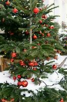 jul träd dekorerad med röd ballonger i främre av de ingång till de Kafé. gata jul dekorationer foto
