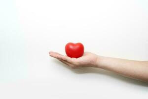röd hjärta på vuxen hand på vit bakgrund , hälsa vård, organ donation, familj liv försäkring, värld hjärta dag, värld hälsa dag, bön- begrepp foto