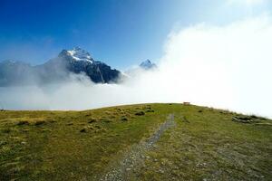 skön se av natur spår i de morgon, grindelwald först, högsta toppar eiger, schweiz alperna. för vandring, vandring, bergsklättring eller natur promenad aktiviteter. foto