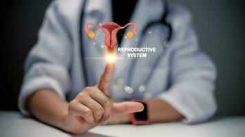 friska feminin begrepp. läkare i en vit täcka kolla upp de livmoder reproduktiv systemet, kvinnors hälsa, pcos, äggstock cancer behandling och undersökning, foto