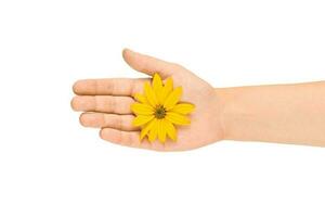 gul blomma i kvinna handflatan, spara miljö, kosmetisk hudvård begrepp, symbol av ren natur foto