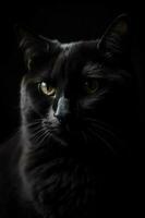 svart katt porträtt skapas använder sig av generativ ai foto