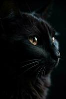 svart katt porträtt skapas använder sig av generativ ai foto