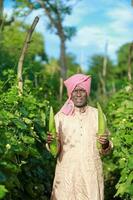 indisk jordbruk, jordbrukare innehav flaska kalebass, vegetabiliska färsk , Lycklig jordbrukare foto