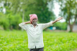 indisk jordbrukare som visar bomull träd i bomull bruka , Lycklig jordbrukare foto