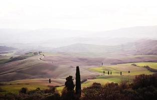 Toscana landsbygd landskap foto