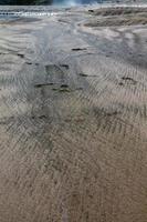sandstränder i Piha Beach, Auckland, Nya Zeeland foto