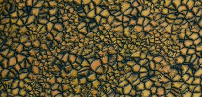 fisk skala bakgrund djur- hud djur- hud textur orm skala hud 3d illustration foto