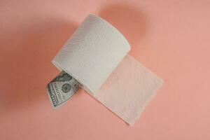 en rulla av toalett papper med en dollar räkningen fastnar ut av den foto