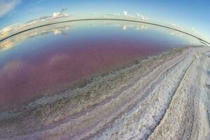 salt fält i dunaliella salina, argentina foto