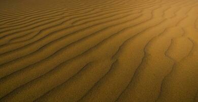 sand sanddyner i las pampas, argentina foto