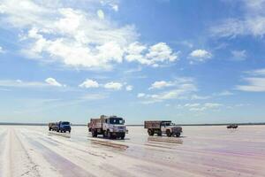 salt fält i dunaliella salina, argentina foto