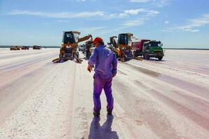 salt fält i dunaliella salina, argentina foto