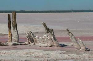 salt fält i argentina foto