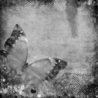 abstrakt retro bakgrund med fjäril foto