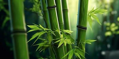 ai genererad. ai generativ. eco grön blad växt träd bambu. asiatisk japan kinesisk kultur tradition vibe. grafisk konst foto