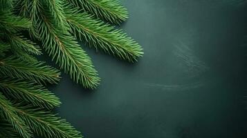 jul gran gren på grön bakgrund foto