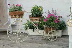 sommar dekorativ vit cykel med korg blommor i grön trädgård. blomma kastruller i utsmyckad cykel i stad parkera. landskaps design. dekorativ blomma stå i de form av en cykel med blomma kastruller foto