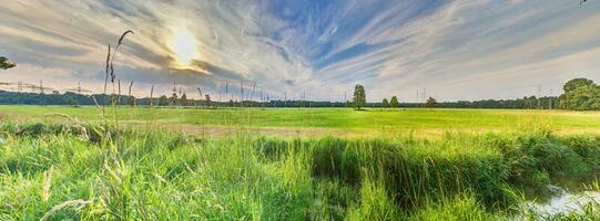 panorama- bild över jordbruks område på de kant av skog under blå himmel foto