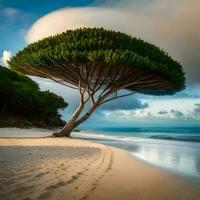 exotisk stor träd på de strand av socotra ö, generativ ai proffs Foto