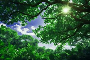 natur se av färsk grön löv träd gren i skog med solljus på blå himmel foto