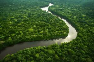 antenn se av de amazonas djungel landskap med flod böja. generativ ai foto