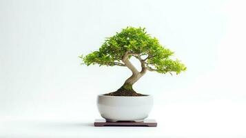 Foto av bonsai i minimalistisk pott som krukväxt för Hem dekoration isolerat på vit bakgrund. generativ ai