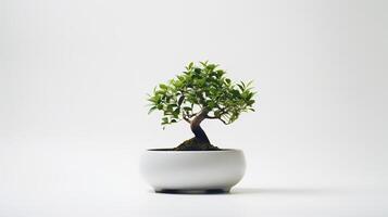 Foto av bonsai i minimalistisk pott som krukväxt för Hem dekoration isolerat på vit bakgrund. generativ ai