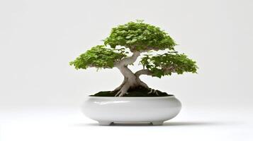 Foto av bonsai i minimalistisk pott som krukväxt för Hem dekoration isolerat på vit bakgrund. generativ ai