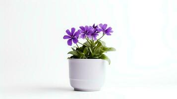 Foto av violett blomma i minimalistisk pott som krukväxt för Hem dekoration isolerat på vit bakgrund. generativ ai