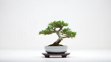 Foto av bonsai i minimalistisk pott som krukväxt för Hem dekoration isolerat på vit bakgrund. generativ ai