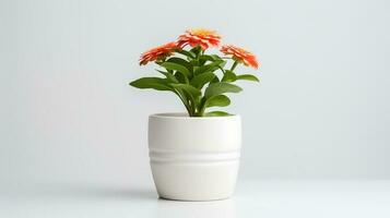 Foto av zinnia i minimalistisk pott som krukväxt för Hem dekoration isolerat på vit bakgrund. generativ ai