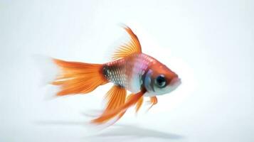 Foto av en guppies fisk på vit bakgrund. generativ ai