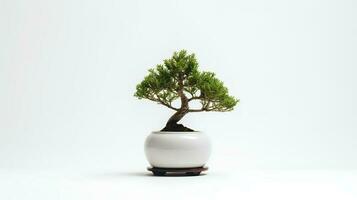 Foto av bonsai i minimalistisk pott som krukväxt för Hem dekoration isolerat på vit bakgrund. generativ ai