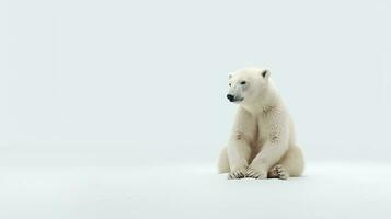 Foto av en polär Björn på vit bakgrund. generativ ai