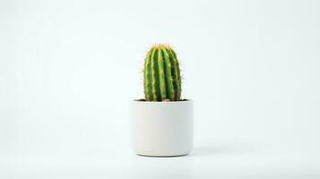 Foto av kaktus i minimalistisk pott som krukväxt för Hem dekoration isolerat på vit bakgrund. generativ ai