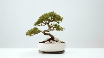 Foto av bonsai i minimalistisk pott som krukväxt för Hem dekoration isolerat på vit bakgrund. generativ ai