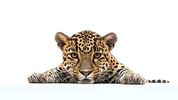 Foto av en jaguar på vit bakgrund. generativ ai