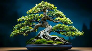 Foto av bonsai i minimalistisk pott som krukväxt för Hem dekoration isolerat på suddigt bakgrund. generativ ai