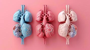 3d illustration av de mänsklig organ system, mänsklig inre organ. anatomi. nervös, cirkulations, matsmältning, utsöndring, urin, och ben system. medicinsk utbildning begrepp, generativ ai illustration foto