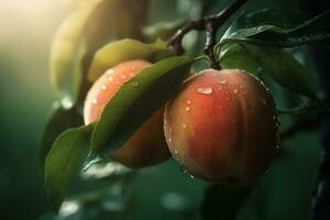 färsk persikor med droppar av vatten. naturlig frukt växande på en träd i de sommar. trädgård med mogen frukter. utsökt och friska organisk näring. kopia Plats. generativ ai. foto