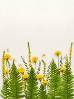 gula blommor och gröna blad foto