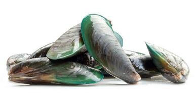 rå mat av färsk skön grön musslor i stack isolerat på vit bakgrund med klippning väg foto