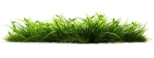 grön gräs med vit bakgrund. generativ ai foto