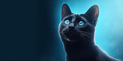 katt porträtt på minimal blå bakgrund för banderoller ai generativ foto