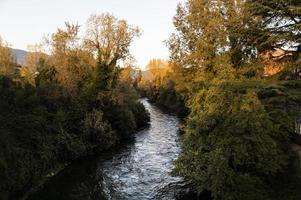 svart flod av terni som passerar genom staden foto